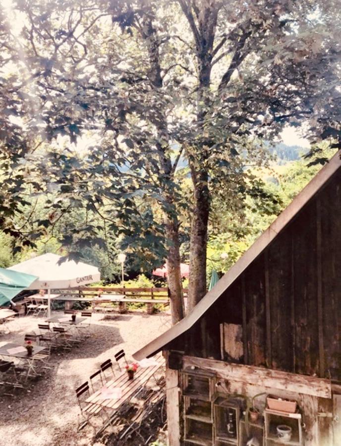科齐扎尔滕 Gasthaus Birke酒店 外观 照片
